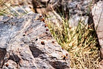 photo thumbnail #15