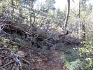 photo thumbnail #1