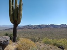 photo thumbnail #5
