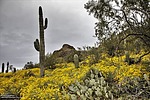 2023-03-30 :1: Peralta Regional Park :: Yoder