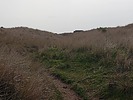 photo thumbnail #12