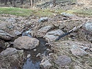 Featured Full Photo