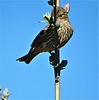 photo thumbnail #11