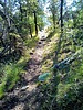 photo thumbnail #11