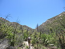 photo thumbnail #6
