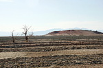 photo thumbnail #10