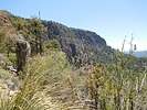 photo thumbnail #10