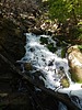 Featured Full Photo