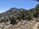 2023-05-06 :2: Huachuca Mountains - AZT #1 :: pseudalpine
