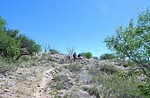 photo thumbnail #5