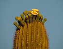 photo thumbnail #2