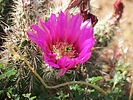 photo thumbnail #14