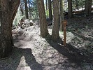 photo thumbnail #3