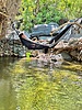 photo thumbnail #10