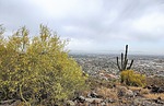 photo thumbnail #2