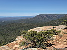 photo thumbnail #6