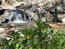 photo thumbnail #11