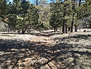 photo thumbnail #4