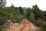 recent photo