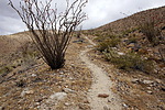 photo thumbnail #13