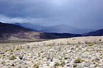 photo thumbnail #14