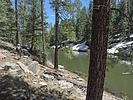 photo thumbnail #7