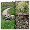 2023-03-10 :3: Cone - Brown Mountains Loop :: tibber