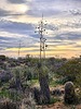 2023-03-10 :1: Cone - Brown Mountains Loop :: tibber