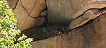 photo thumbnail #15