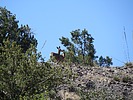 photo thumbnail #15
