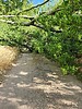 photo thumbnail #11