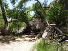 photo thumbnail #4