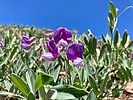 photo thumbnail #9