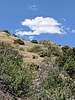 2023-05-13 :2: Two Bar Mountain :: pseudalpine