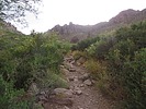photo thumbnail #2