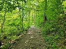 photo thumbnail #6