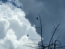 photo thumbnail #13