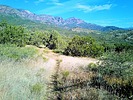 photo thumbnail #6