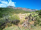 photo thumbnail #13