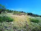 photo thumbnail #14