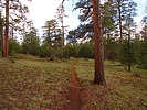 photo thumbnail #13