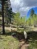 photo thumbnail #6