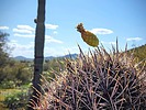 photo thumbnail #6