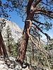 2022-07-15 :2: Mount Whitney 14,505 :: Mike_W