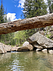 photo thumbnail #14