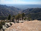 photo thumbnail #2