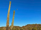 photo thumbnail #1