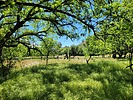 photo thumbnail #13