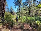 photo thumbnail #9