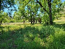 photo thumbnail #15